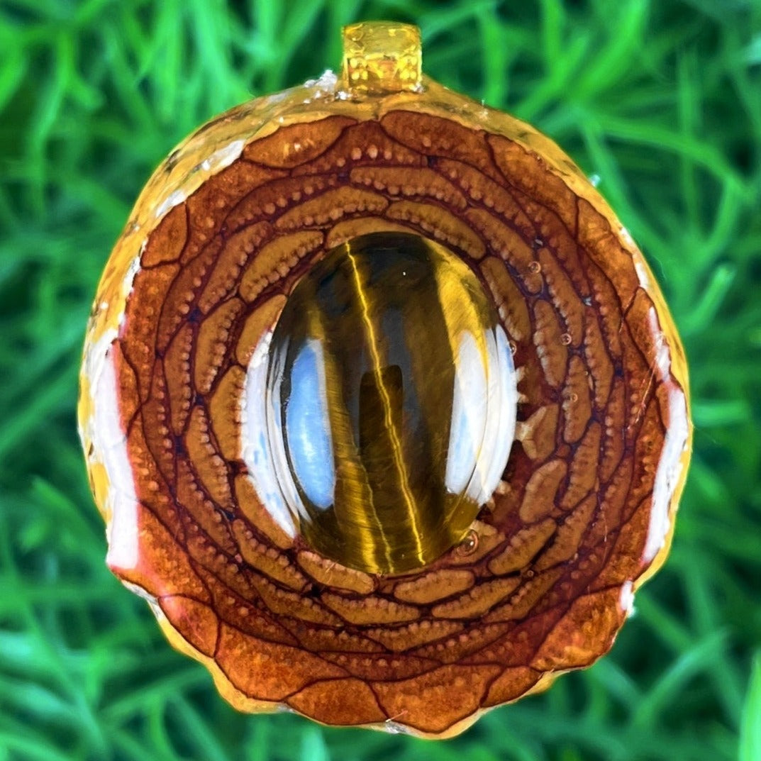 Tiger's Eye