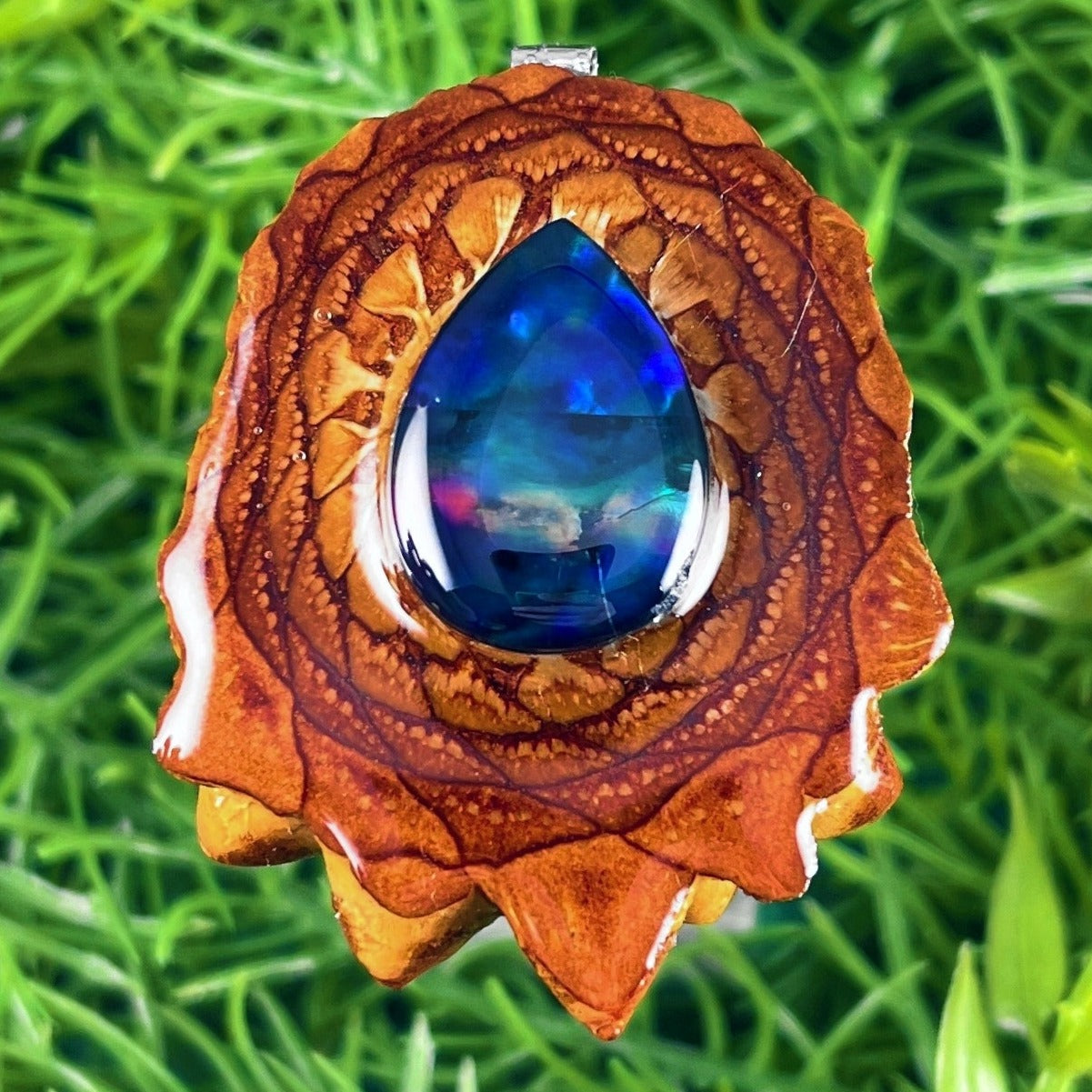 Multi Ammolite